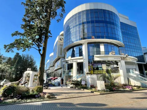 Апартаменты Альфа ЖК Миррор