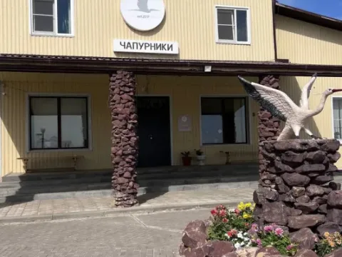 Чапурники