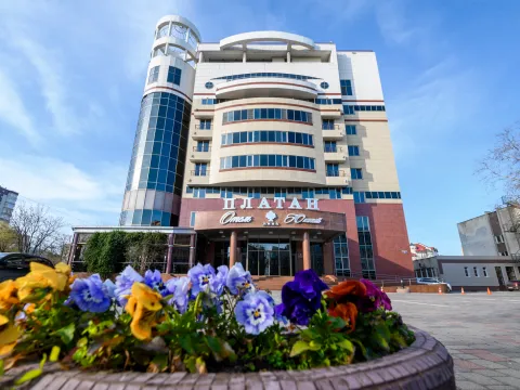 Платан Южный (Краснодар)