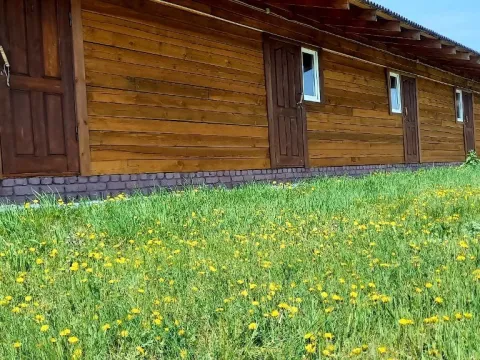 Ромашка (Яровое)