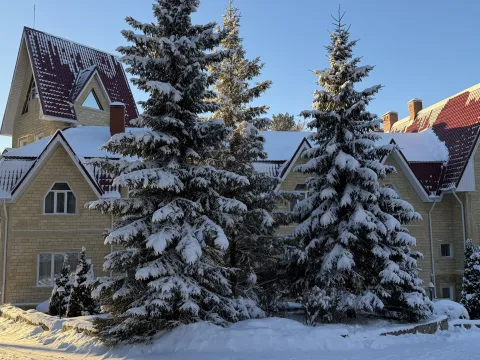 Талес