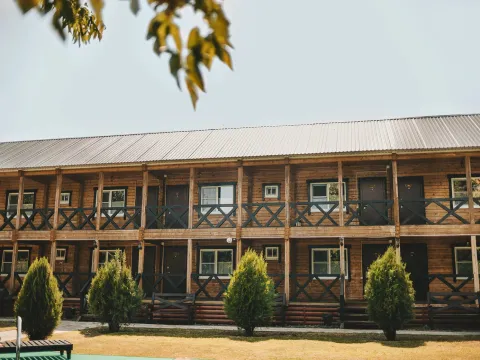 Золотой лотос